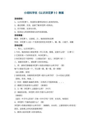 幼儿园小班科学优教案《认识洋花萝卜》 包含反思预览