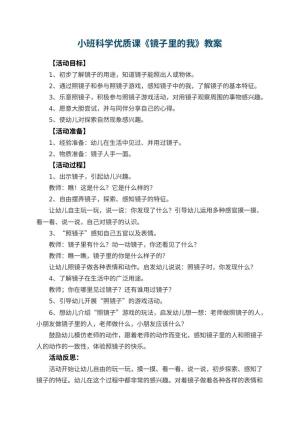 幼儿园小班科学优质课教案《镜子里的我》 包含反思