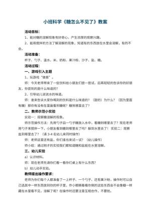幼儿园小班科学优秀教案《糖怎么不见了》 包含反思预览