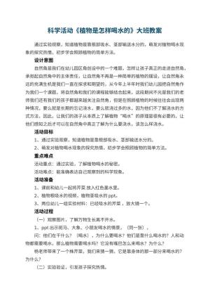 幼儿园科学活动《植物是怎样喝水的》大班教案