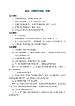 幼儿园大班教案《眼睛的秘密》 包含反思预览