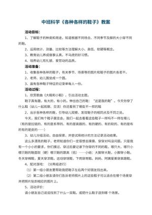 幼儿园中班科学优秀教案《各种各样的鞋子》 包含反思