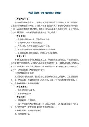 幼儿园大班美术《拯救鹦鹉》教案 包含反思预览