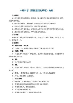 幼儿园中班科学教案《酸酸甜甜的草莓》预览