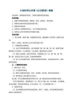 幼儿园小班科学公开课教案《认识肥皂》 包含反思预览