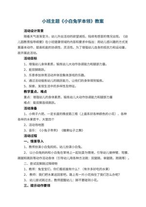 幼儿园小班主题教案《小白兔学本领》 包含反思预览