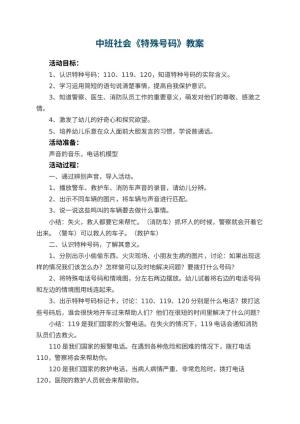 幼儿园中班社会教案《特殊号码》预览