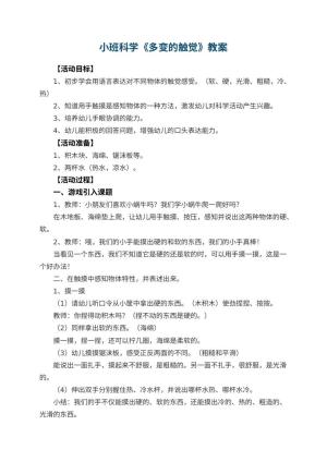 幼儿园小班科学教案《多变的触觉》预览