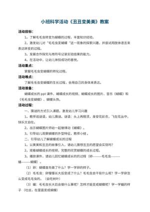 幼儿园小班科学教案活动《丑丑变美美》 包含反思