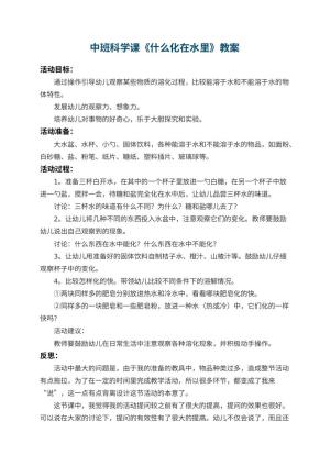 幼儿园中班科学课教案《什么化在水里》 包含反思预览