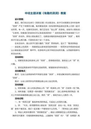 幼儿园中班主题详案教案《有趣的洞洞》 包含反思预览