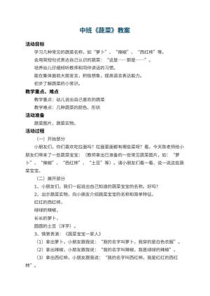 幼儿园中班教案《蔬菜》 包含反思预览