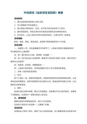幼儿园中班游戏教案《运皮球宝宝回家》 包含反思预览