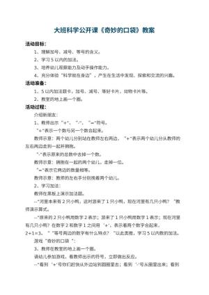 幼儿园大班科学公开课教案《奇妙的口袋》 包含反思
