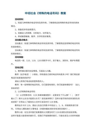 幼儿园中班社会优秀教案《特殊的电话号码》 包含反思