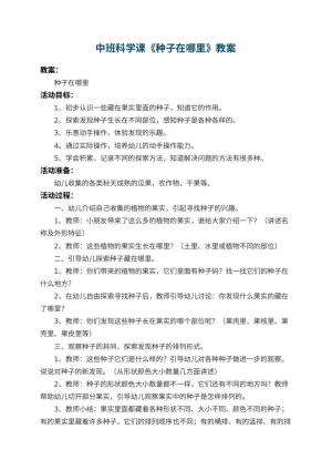 幼儿园中班科学课教案《种子在哪里》 包含反思