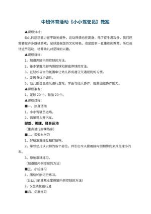 幼儿园中班体育活动《小小驾驶员》教案 包含反思预览