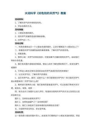 幼儿园大班科学教案《好危险的天然气》 包含反思预览