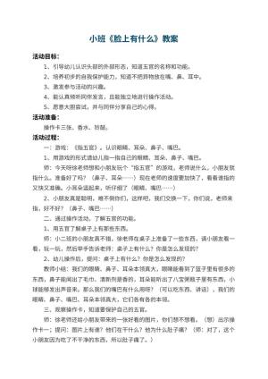 幼儿园小班教案《脸上有什么》预览