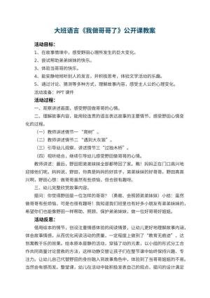 幼儿园大班语言《我做哥哥了》公开课教案 包含反思预览
