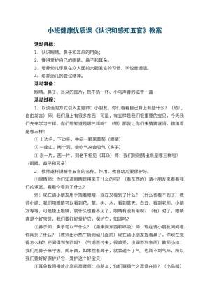 幼儿园小班健康优质课教案《认识和感知五官》 包含反思预览