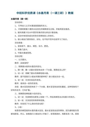 幼儿园中班科学优质课教案《水墨丹青（一课三研）》 包含反思预览