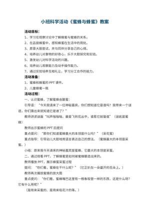 幼儿园小班科学活动《蜜蜂与蜂蜜》优秀教案 包含反思预览