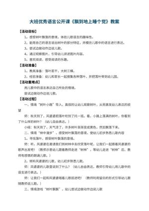 幼儿园大班优秀语言公开课教案《飘到地上睡个觉》 包含反思预览