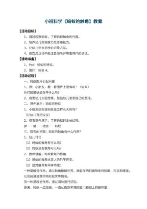 幼儿园小班科学教案《蚂蚁的触角》预览