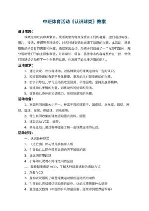 幼儿园中班体育活动教案《认识球类》 包含反思预览