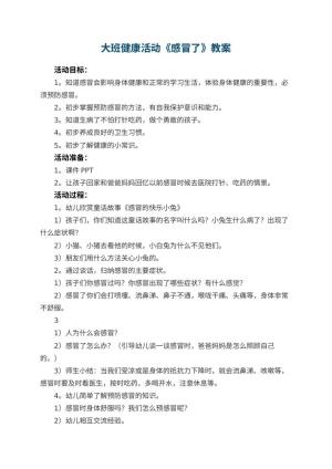 幼儿园大班健康活动教案《感冒了》 包含反思预览