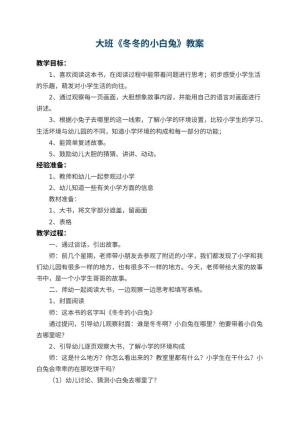 幼儿园大班教案《冬冬的小白兔》 包含反思预览