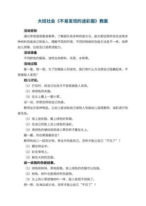 幼儿园大班社会优秀教案《不易发现的迷彩服》 包含反思预览