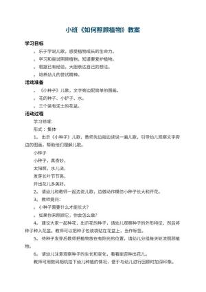 幼儿园小班教案《如何照顾植物》