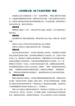 幼儿园小班观察记录《抢了玩具的博博》 包含反思预览