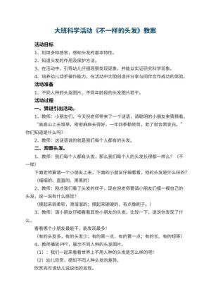 幼儿园教案大班科学活动《不一样的头发》 包含反思预览