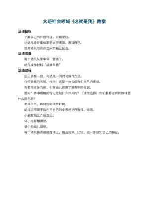 幼儿园大班社会领域教案《这就是我》预览