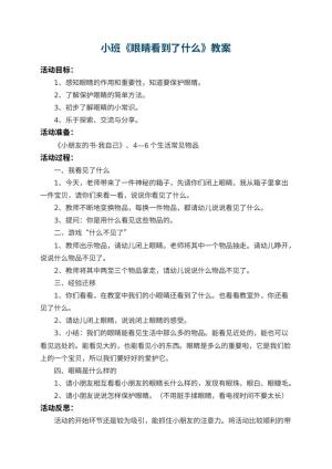 幼儿园小班教案《眼睛看到了什么》 包含反思预览