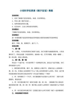 幼儿园小班科学优质课教案《橘子宝宝》 包含反思预览