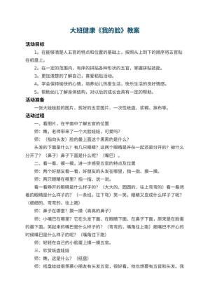 幼儿园大班健康教案《我的脸》 包含反思