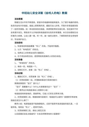 幼儿园中班幼儿安全教案详案《会咬人的电》 包含反思预览