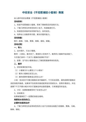 幼儿园中班安全教案《不招惹捕捉小蜜蜂》 包含反思