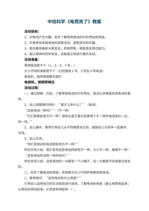 幼儿园中班科学优秀教案《电筒亮了》 包含反思预览