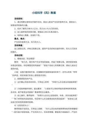 幼儿园小班科学优秀教案《风》 包含反思预览