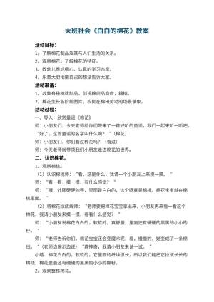 幼儿园大班社会优秀教案《白白的棉花》 包含反思