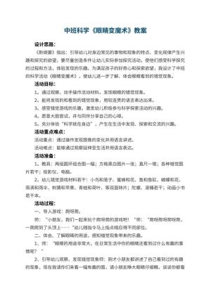 幼儿园中班科学教案《眼睛变魔术》 包含反思预览
