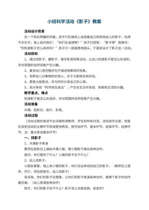 幼儿园小班科学活动教案《影子》 包含反思