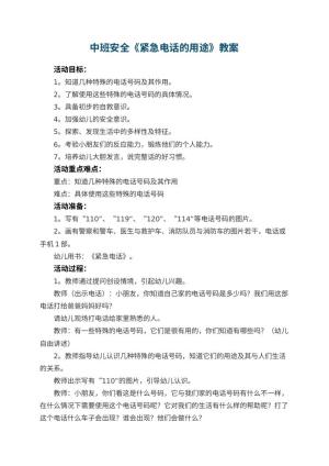 幼儿园中班安全教案《紧急电话的用途》 包含反思预览