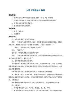 幼儿园小班教案《双胞胎》 包含反思