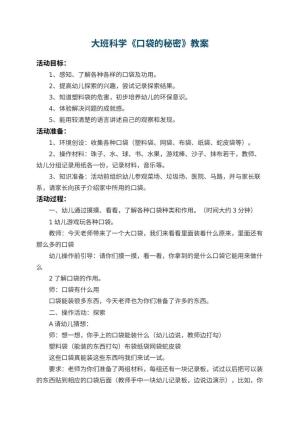 幼儿园大班科学教案《口袋的秘密》 包含反思预览